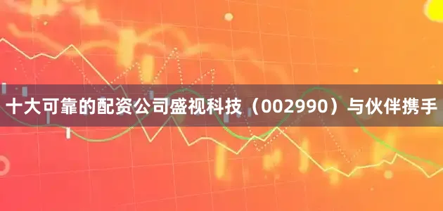 十大可靠的配资公司盛视科技（002990）与伙伴携手