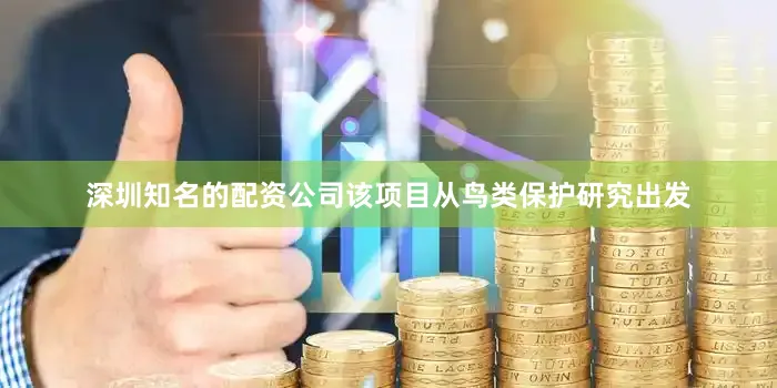 深圳知名的配资公司该项目从鸟类保护研究出发