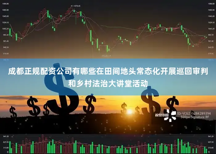 成都正规配资公司有哪些在田间地头常态化开展巡回审判和乡村法治大讲堂活动