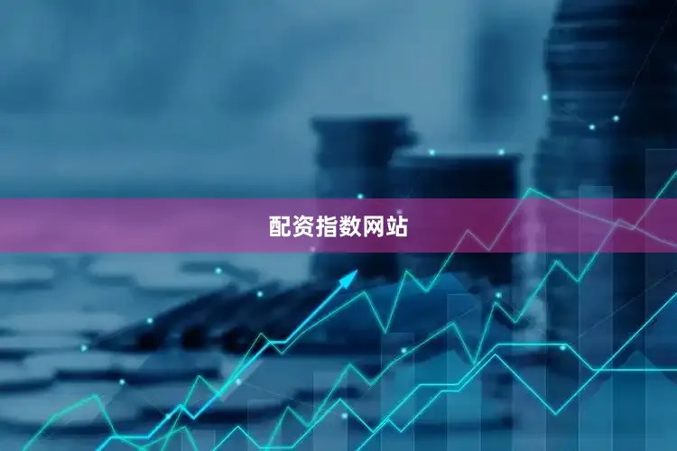 配资指数网站