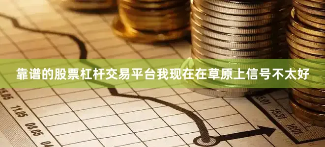 靠谱的股票杠杆交易平台我现在在草原上信号不太好