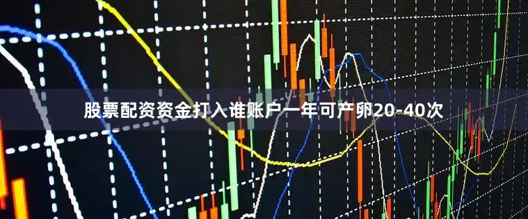 股票配资资金打入谁账户一年可产卵20-40次