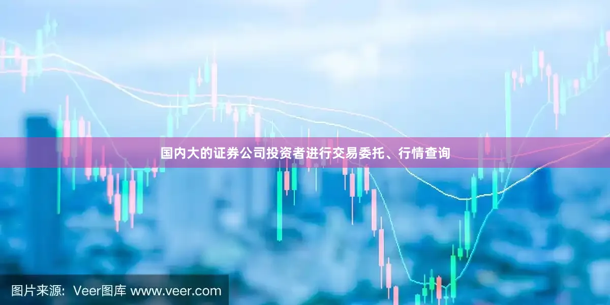 国内大的证券公司投资者进行交易委托、行情查询
